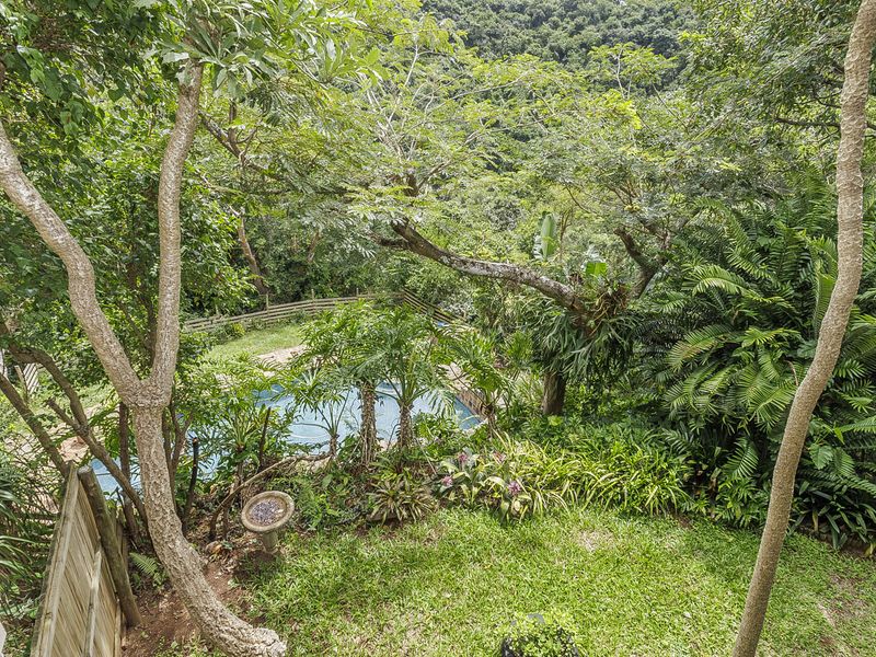A lush, private garden setting featuring a swimming pool surrounded by mature trees and dense tropical vegetation, offering a serene outdoor environment.