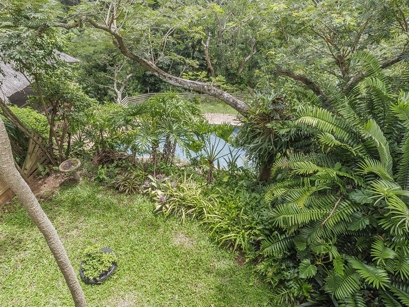 A lush, private garden setting featuring a swimming pool surrounded by mature trees and dense tropical landscaping.
