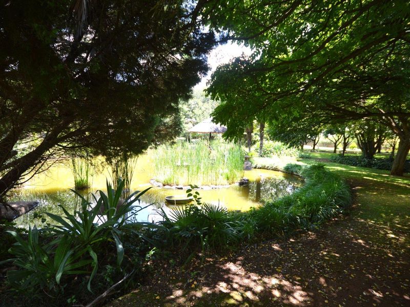 A tranquil garden setting featuring a landscaped pond surrounded by mature trees and lush greenery, providing a peaceful outdoor environment.