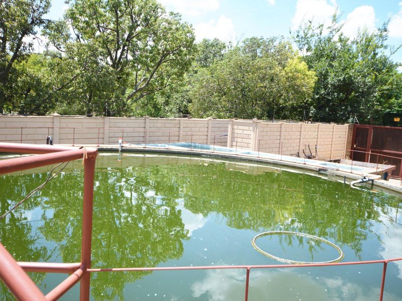 Outdoor swimming pool area featuring a perimeter wall and metal safety railing, currently requiring significant maintenance and water treatment.