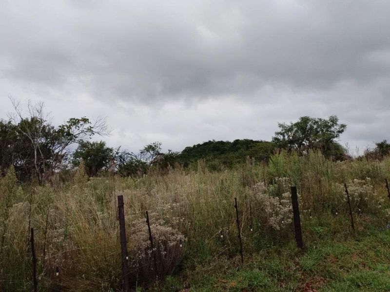 A view of a vacant residential plot featuring overgrown natural vegetation and existing wire perimeter fencing.