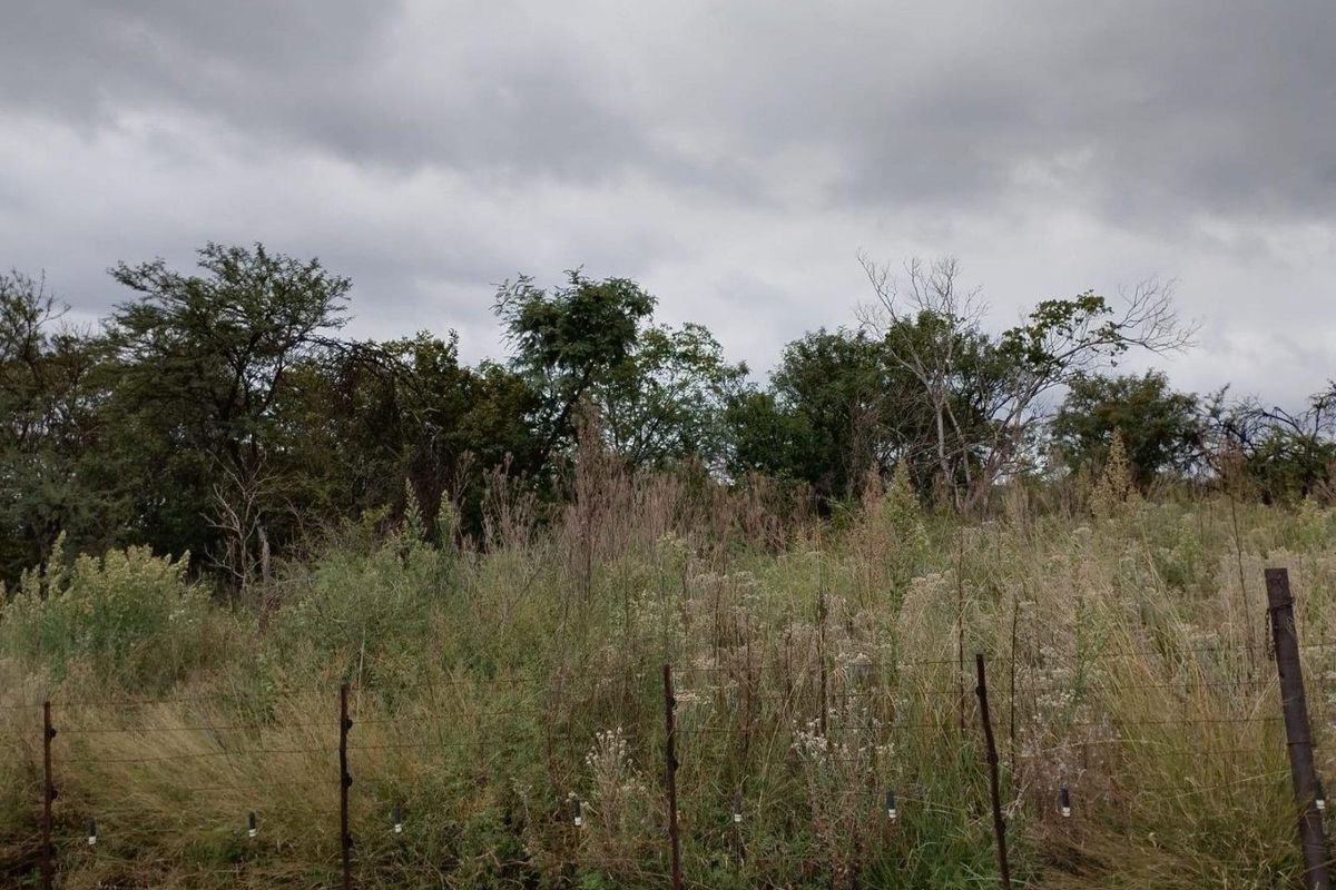 A view of a vacant residential plot featuring wild vegetation, mature trees, and a perimeter wire fence.