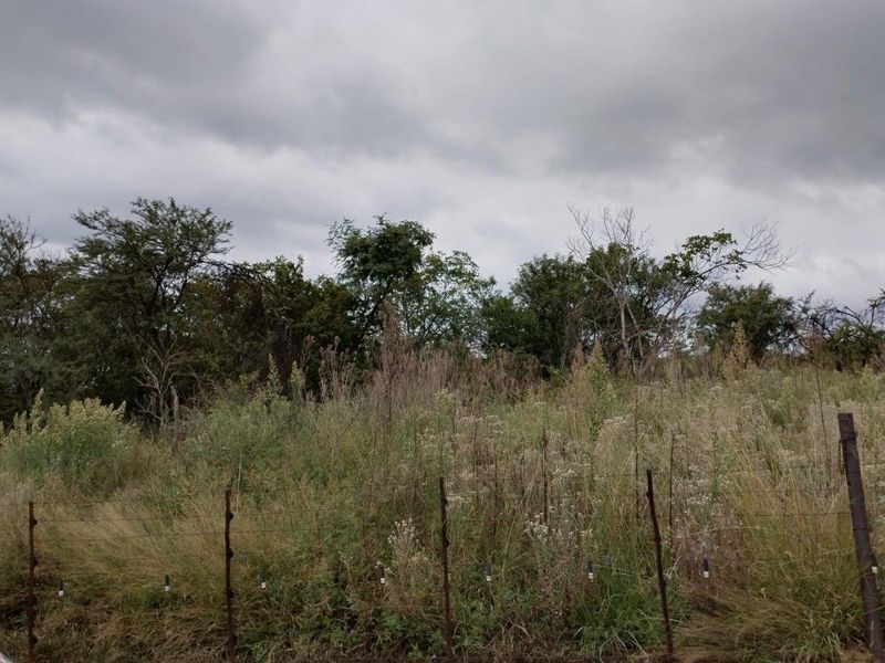 A view of a vacant residential plot featuring wild vegetation, mature trees, and a perimeter wire fence.
