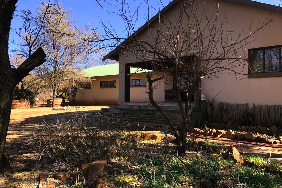 Rear view of the house featuring a covered patio area, concrete steps, and established garden surroundings.