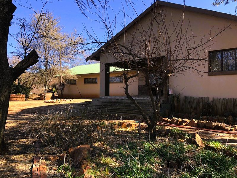 Rear view of the house featuring a covered patio area, concrete steps, and established garden surroundings.