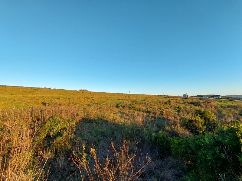 Expansive view of open, undeveloped natural landscape with native vegetation under a clear blue sky.