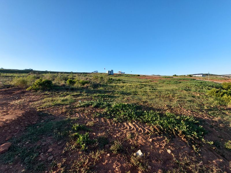 A wide-angle view of a vacant plot of land with natural vegetation and a clear horizon line.