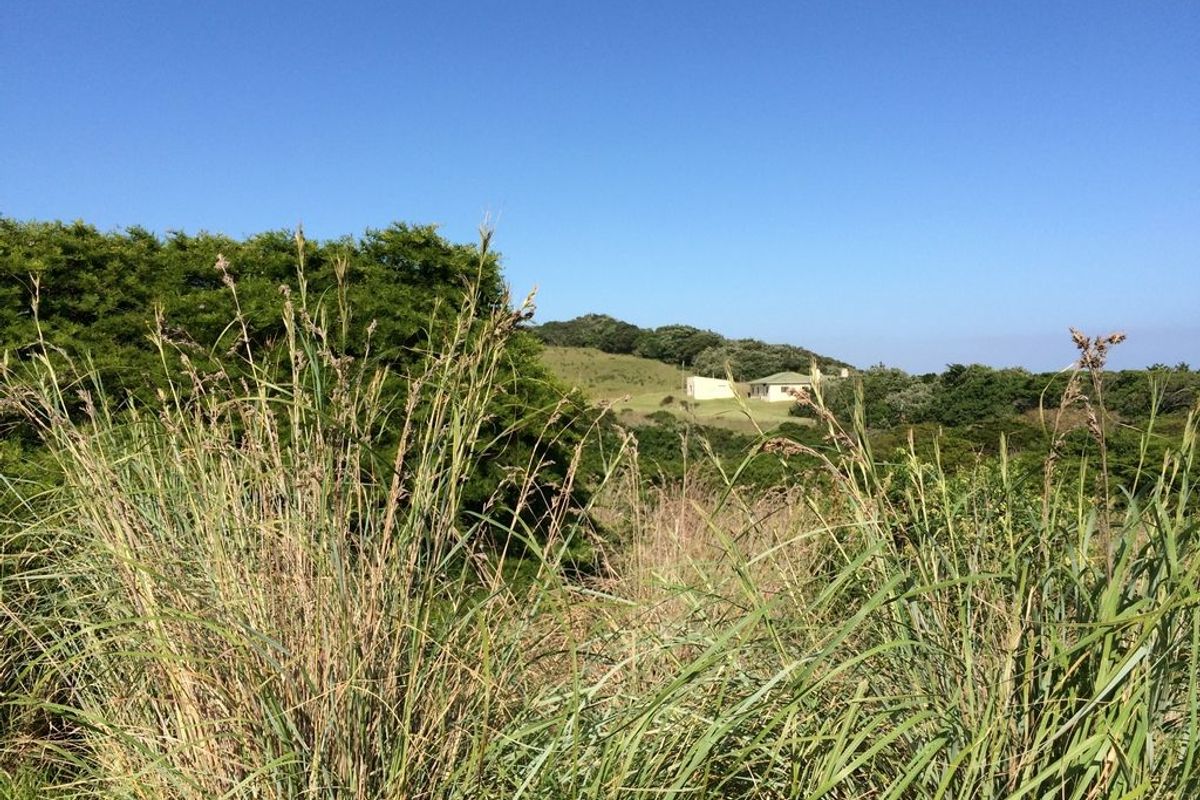 Great plot in Haga Haga Retreat - Photo 2
