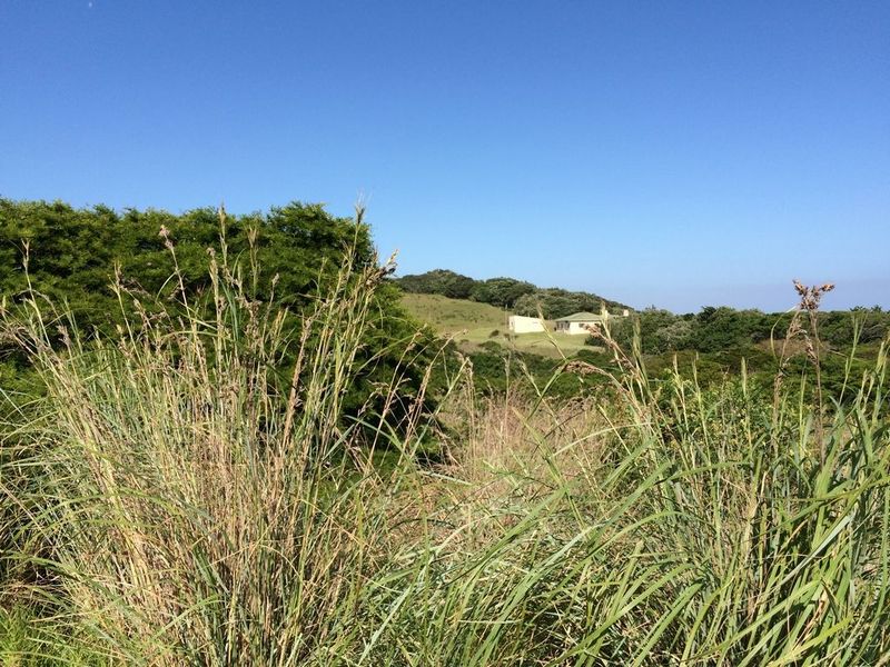 Great plot in Haga Haga Retreat - Photo 2