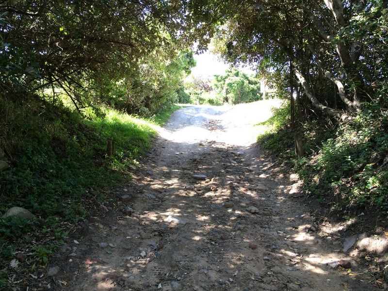 Great plot in Haga Haga Retreat - Photo 8