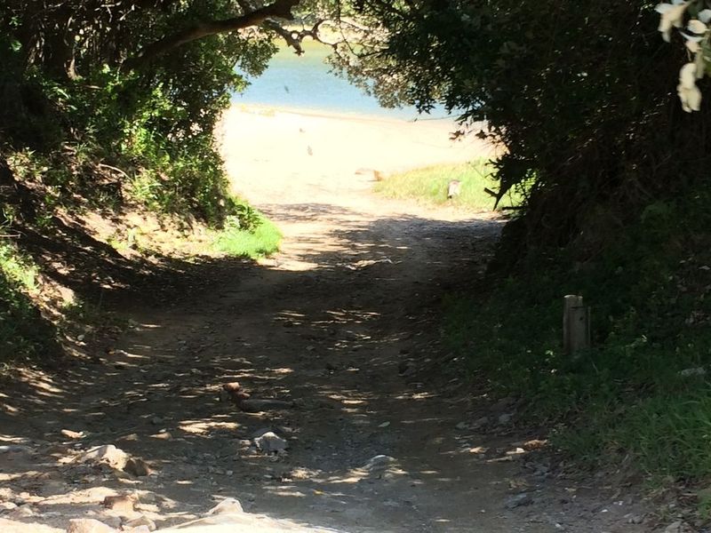 Great plot in Haga Haga Retreat - Photo 9