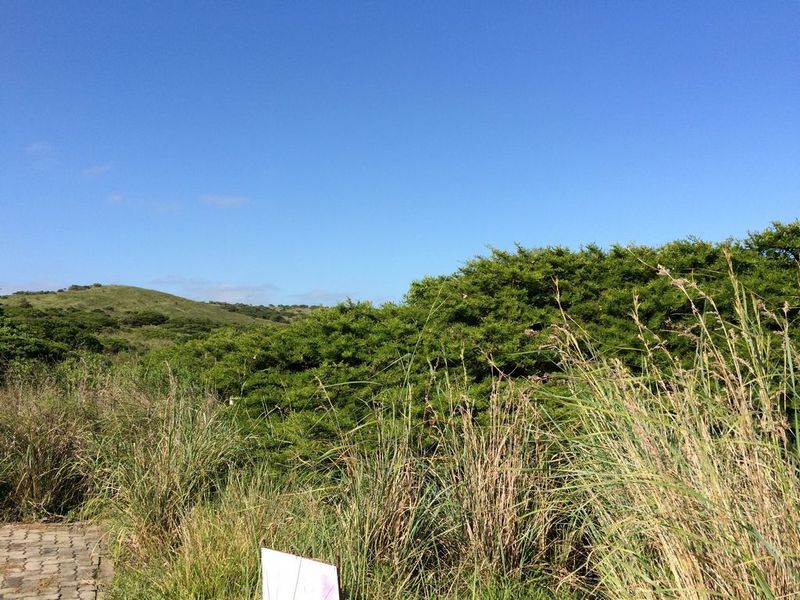 Great plot in Haga Haga Retreat - Photo 7
