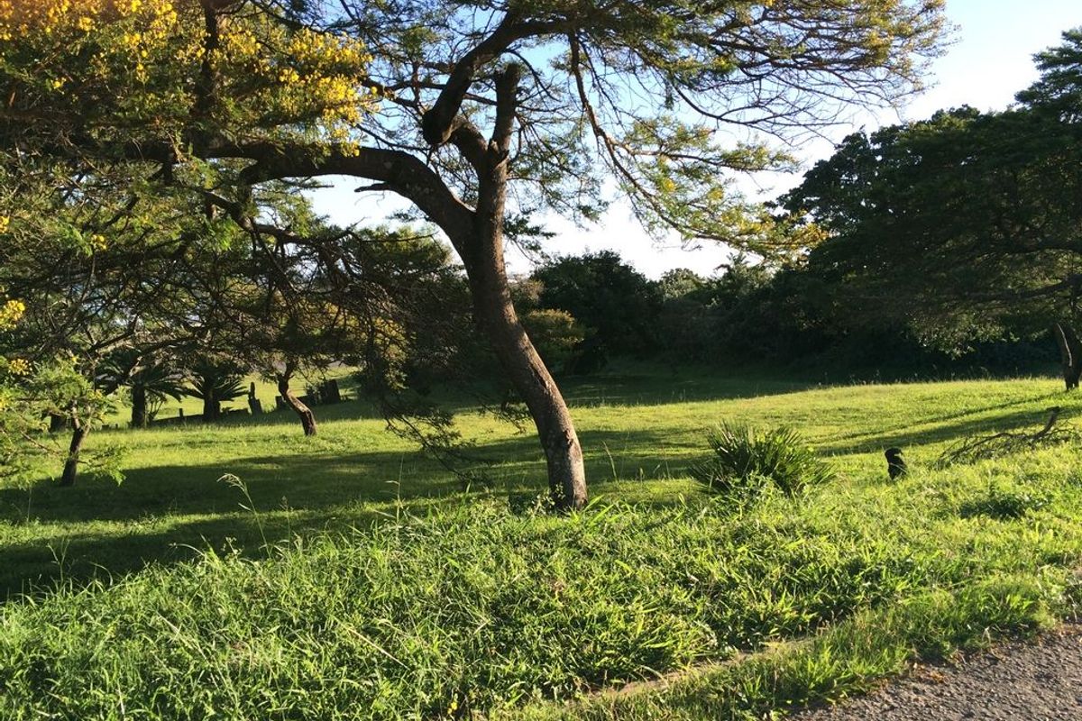 Breaker Views from this plot in Cintsa East - Photo 5