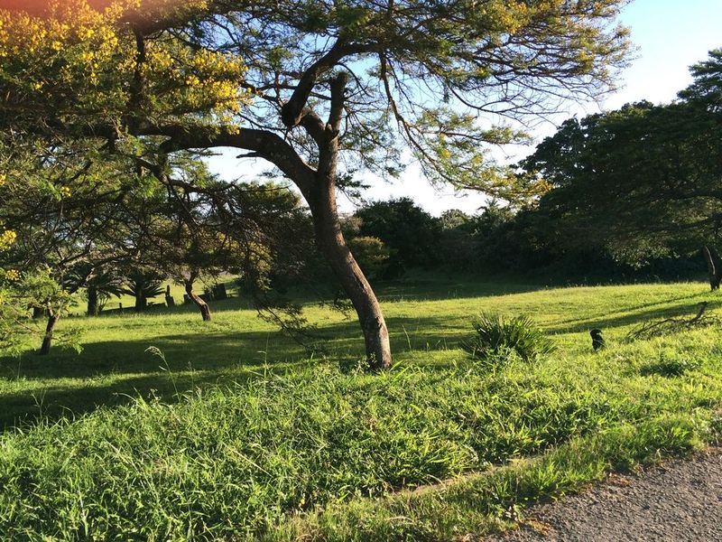 Breaker Views from this plot in Cintsa East - Photo 5