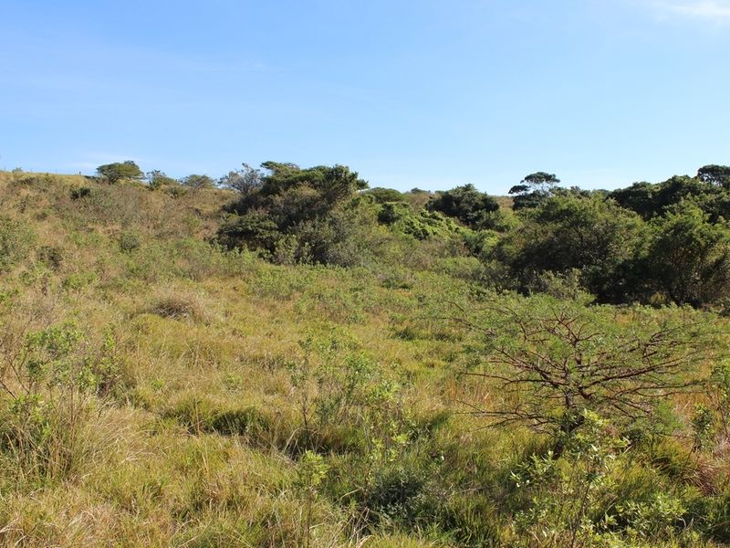 Sheltered Plot with a Sea View - Photo 10