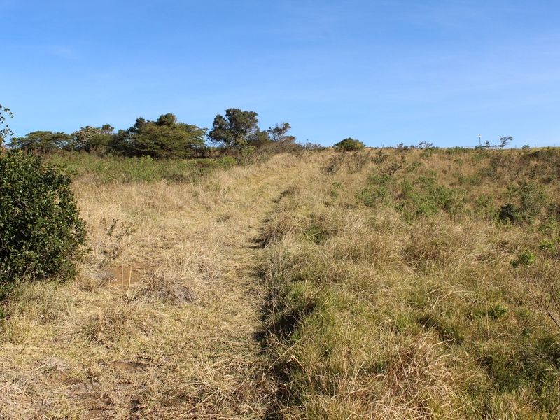 Sheltered Plot with a Sea View - Photo 9