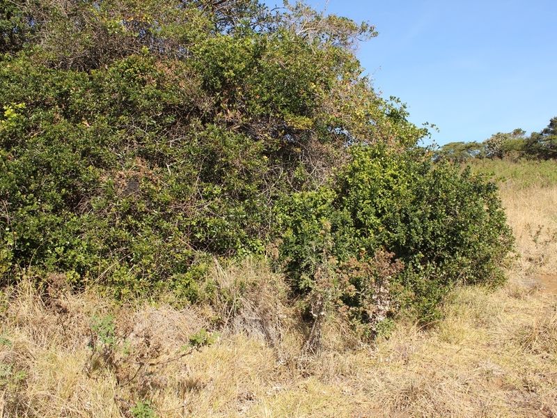 Sheltered Plot with a Sea View - Photo 8