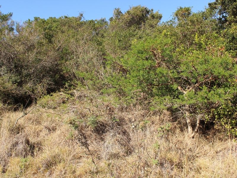 Sheltered Plot with a Sea View - Photo 7