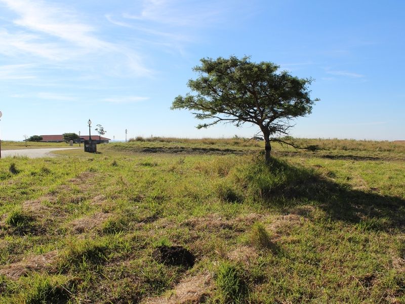 A view of a vacant residential plot featuring natural grass, a mature tree, and nearby street lighting infrastructure.