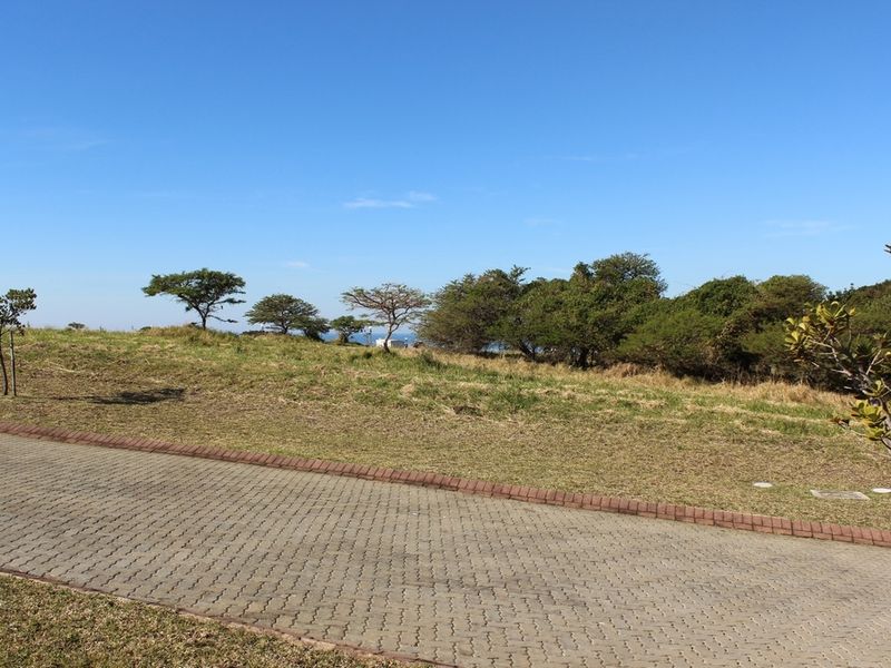 A view of a vacant residential plot featuring a paved driveway, established trees, and natural landscaping under a clear blue sky.