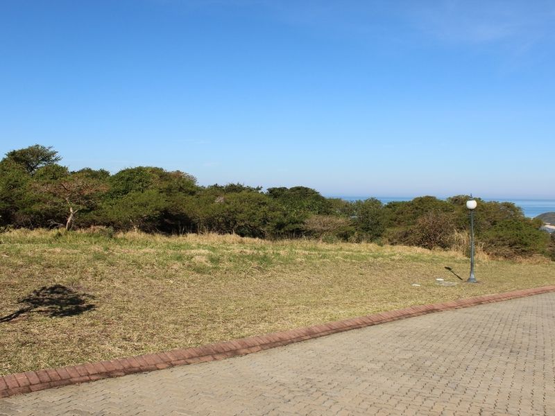 A vacant residential plot featuring established coastal vegetation, a paved driveway edge, and a distant ocean view.