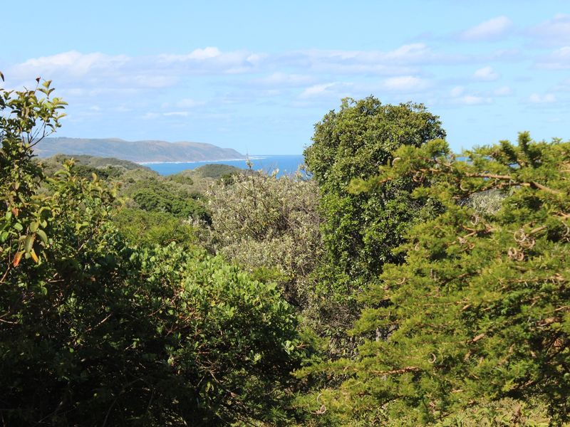 East Facing Plot in Cintsa East - Photo 10