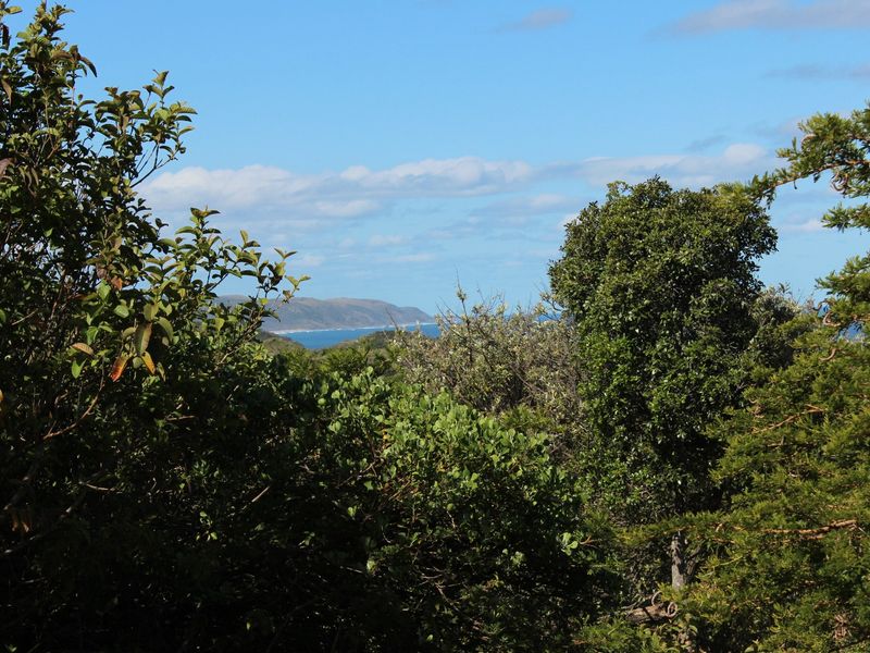 East Facing Plot in Cintsa East - Photo 6