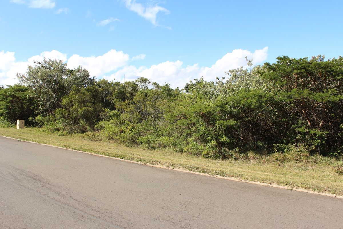 East Facing Plot in Cintsa East - Photo 5