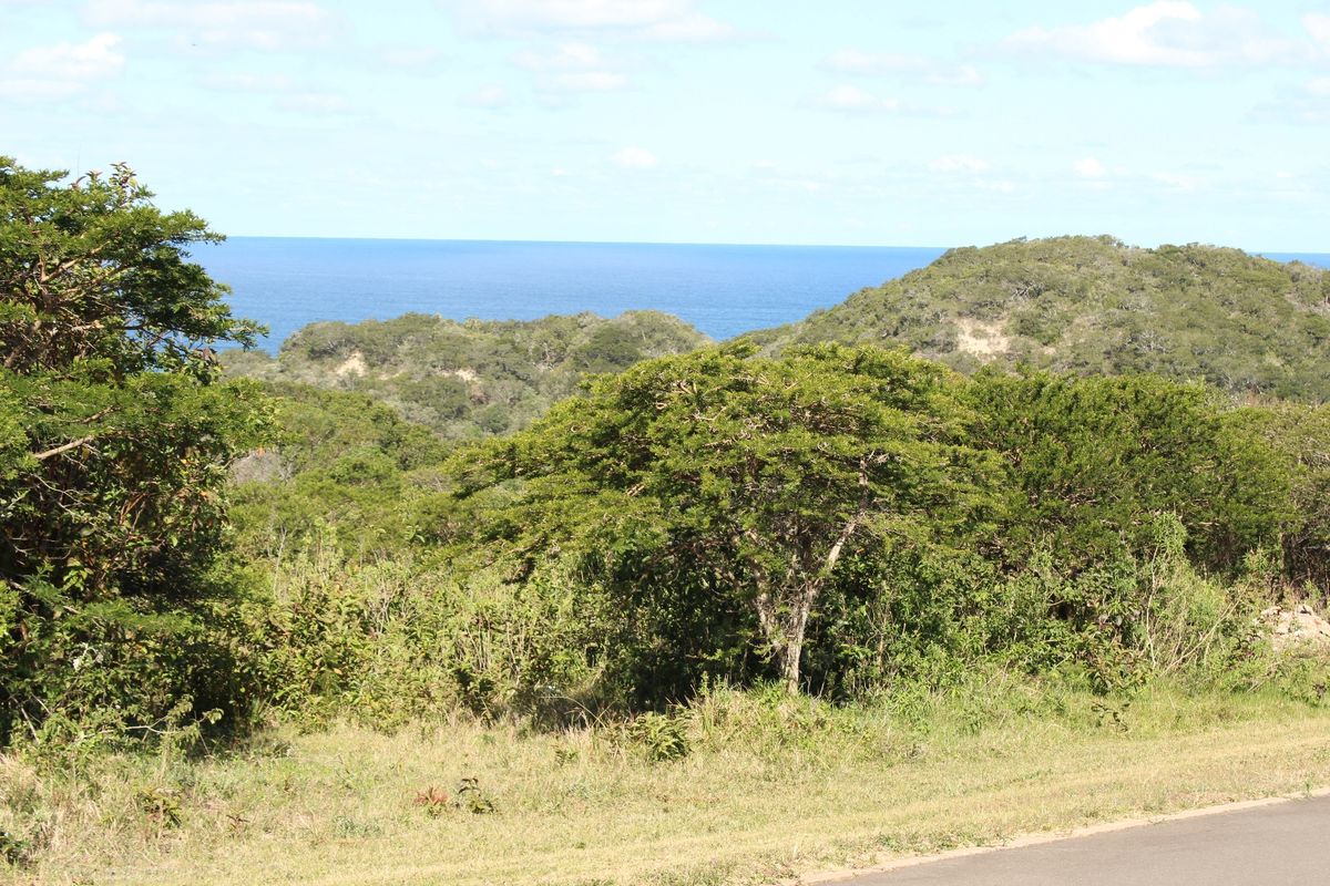 East Facing Plot in Cintsa East - Photo 2