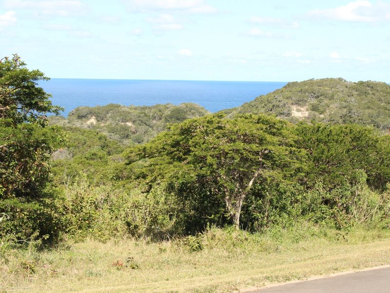East Facing Plot in Cintsa East - Photo 2