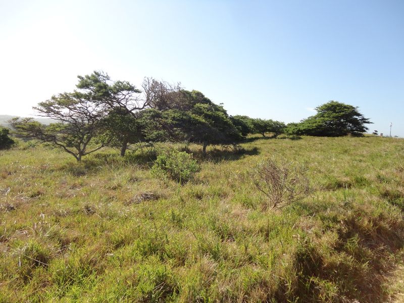 Plot for Sale, Khamanga Bay! - Photo 6