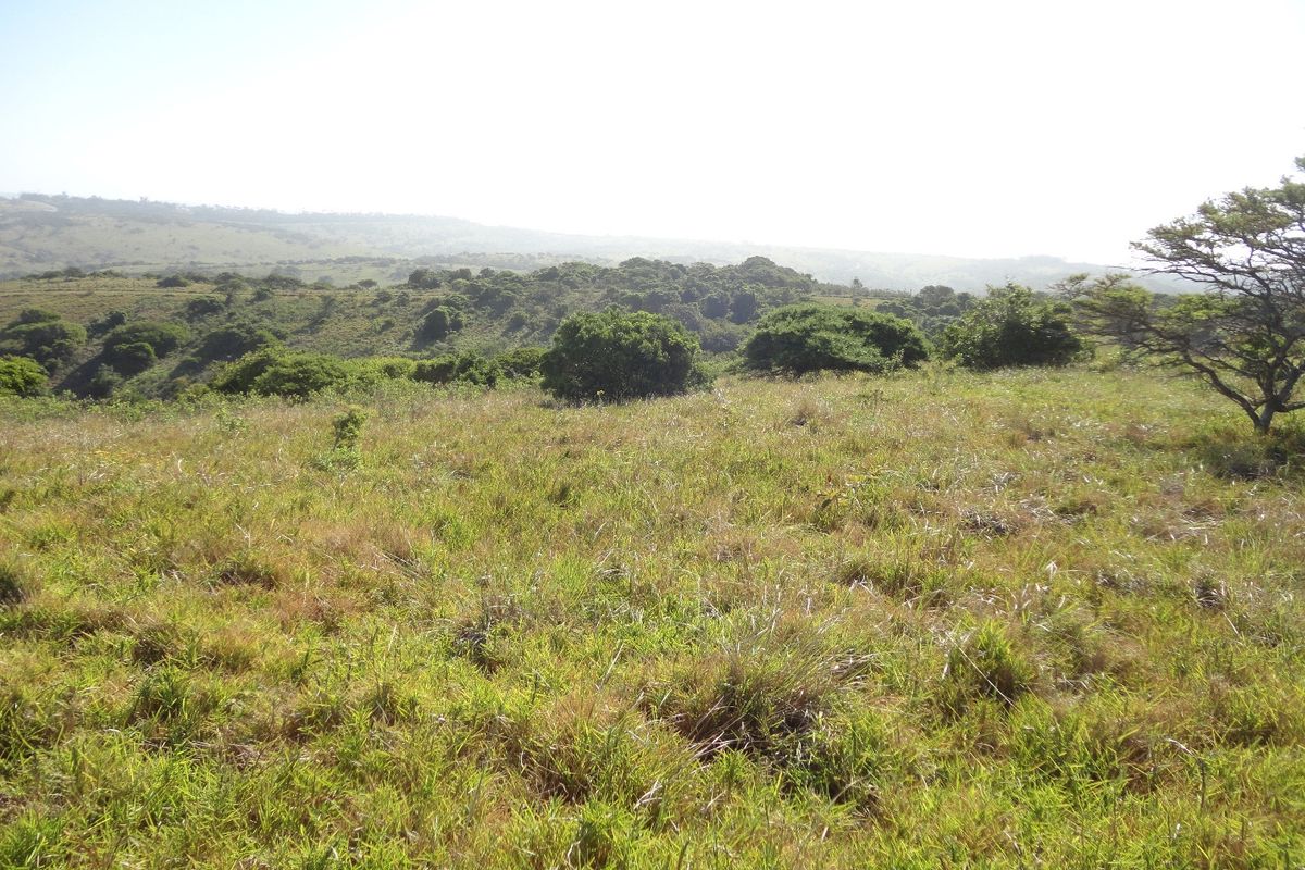 Plot for Sale, Khamanga Bay! - Photo 5