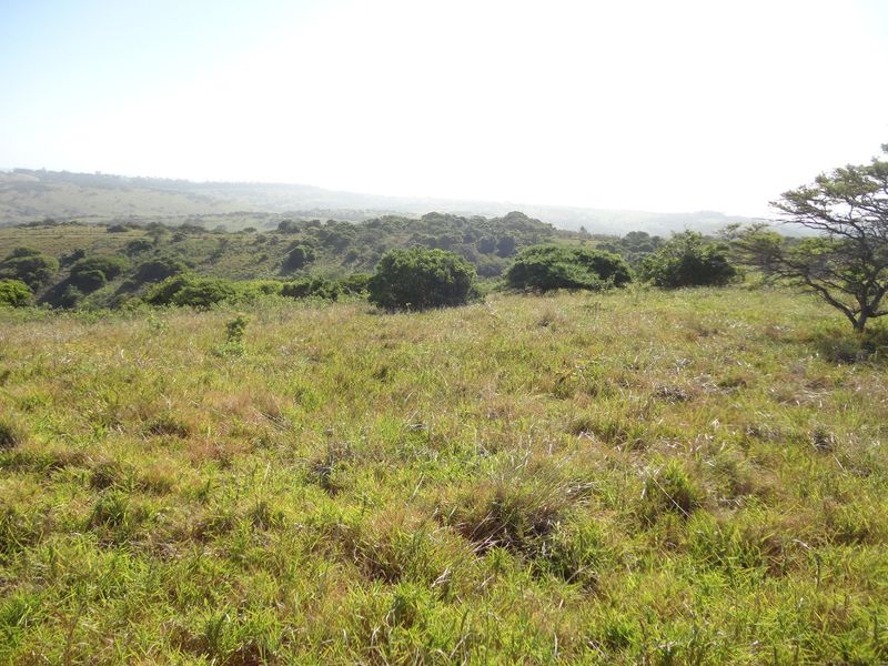 Plot for Sale, Khamanga Bay! - Photo 5