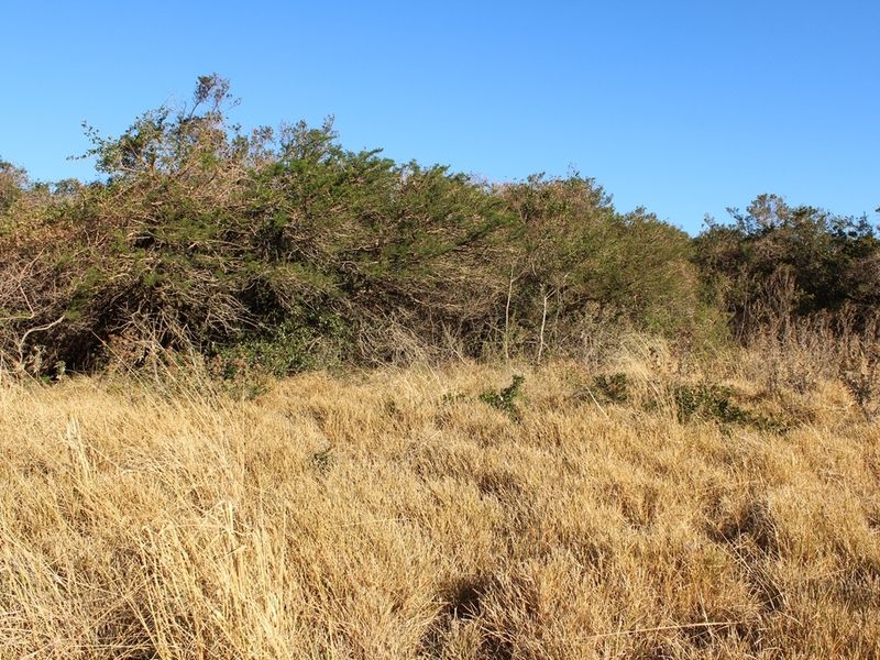 Plot in an Up-Market Estate - Photo 9