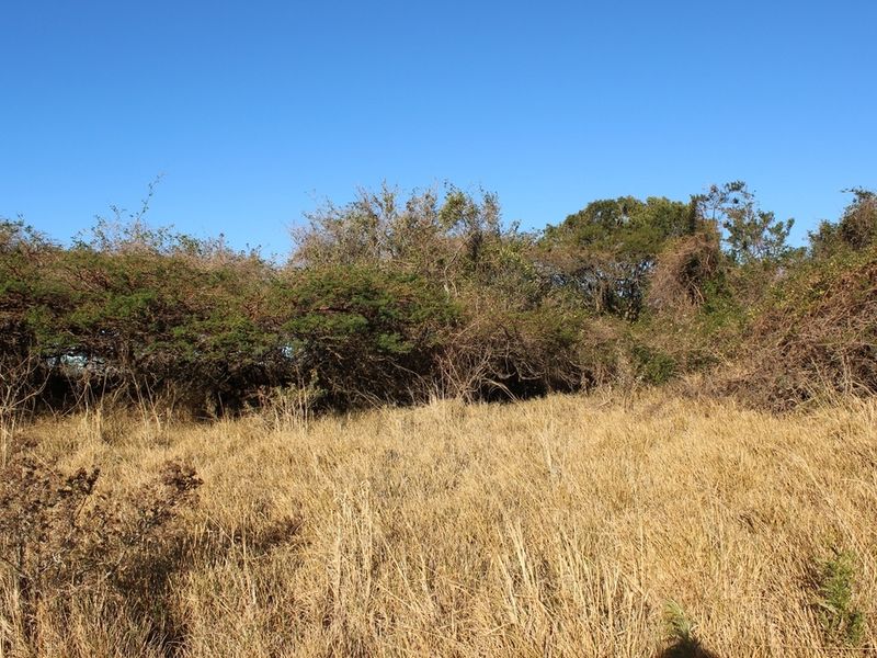 Plot in an Up-Market Estate - Photo 8