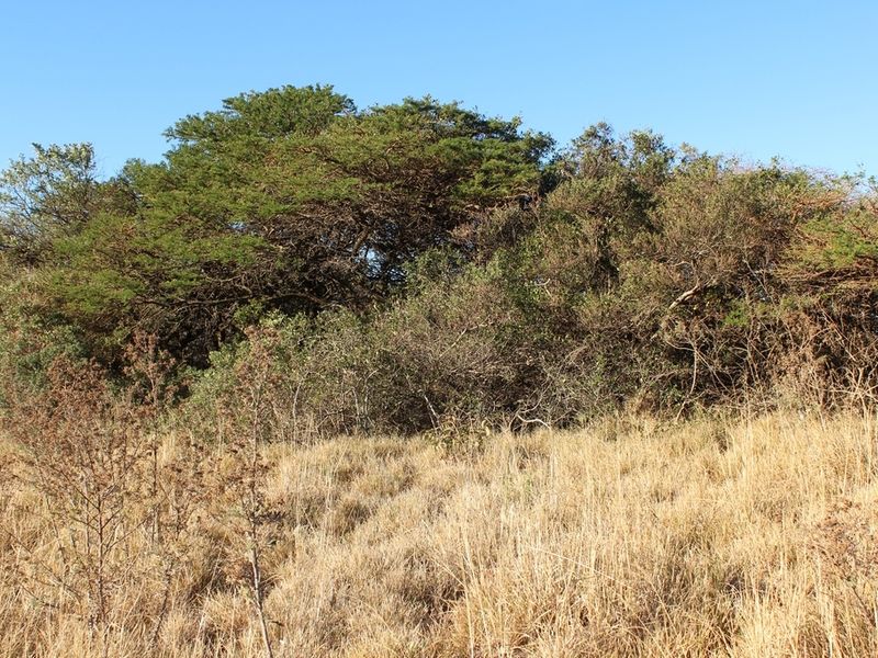 Plot in an Up-Market Estate - Photo 7
