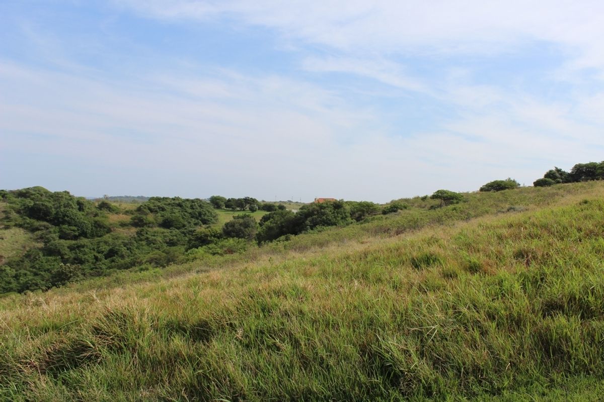 Plot in Up-Market Estate - Photo 4