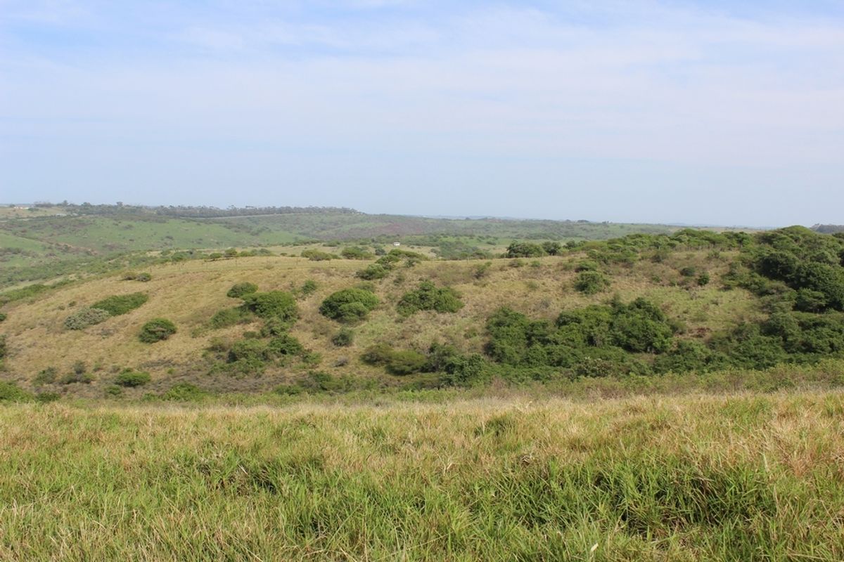 Plot in Up-Market Estate - Photo 5