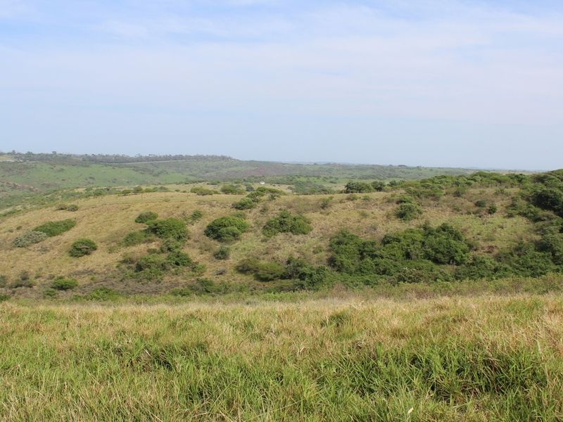 Plot in Up-Market Estate - Photo 5
