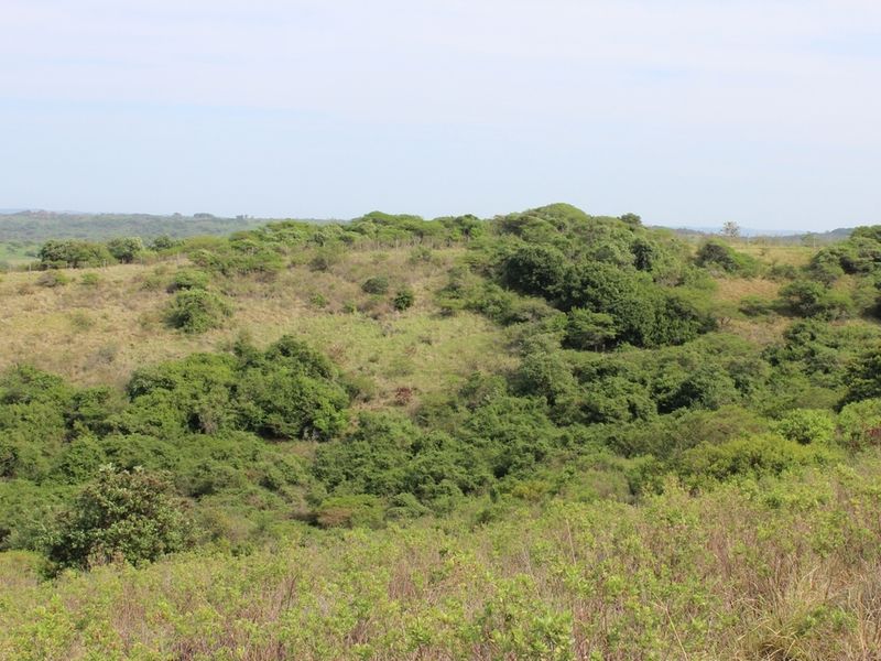 Plot in Up-Market Estate - Photo 10