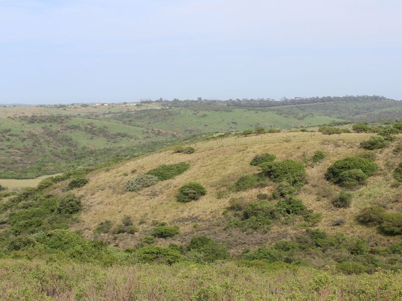Plot in Up-Market Estate - Photo 9