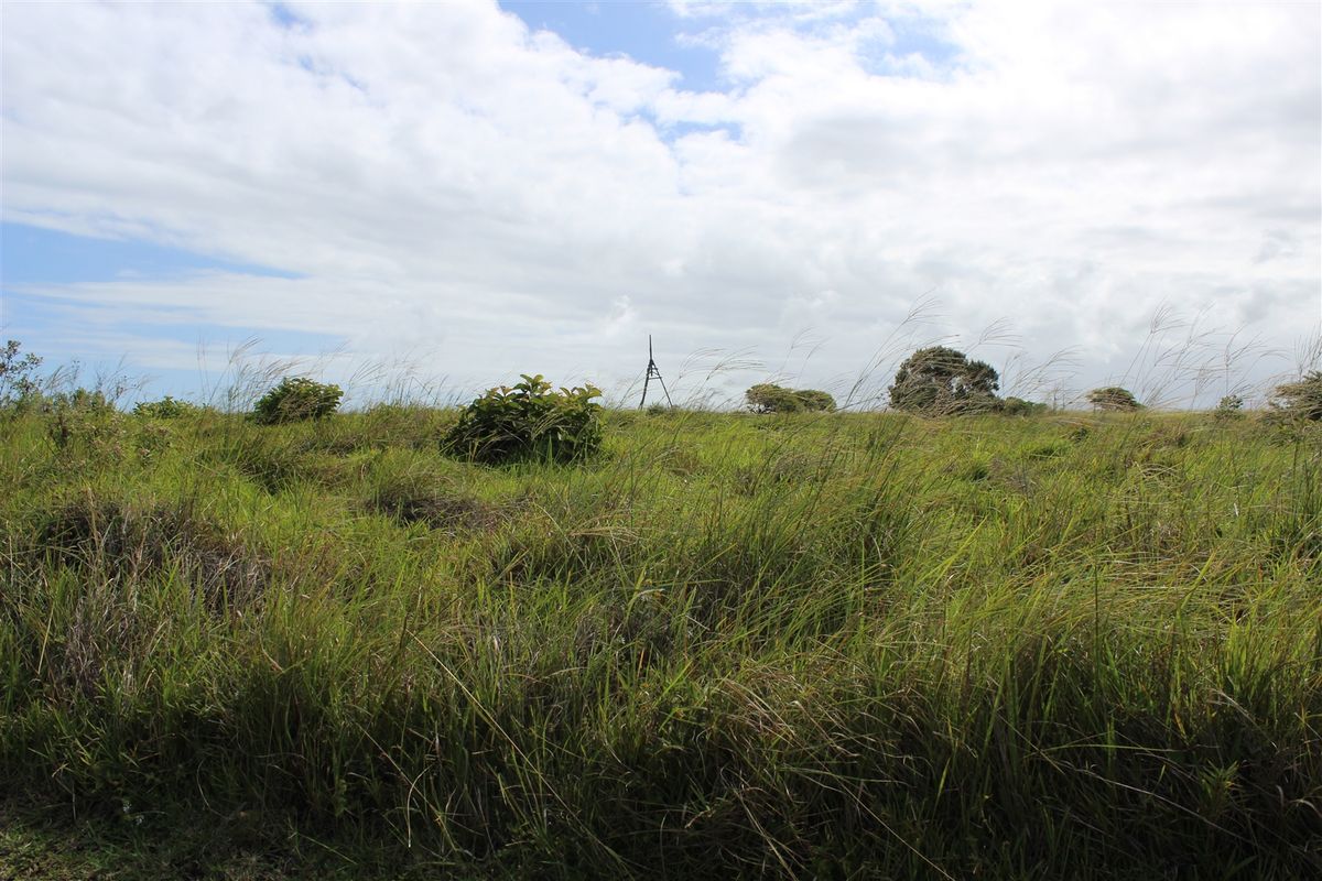 Plot In Up-Market Seaside Estate - Photo 5