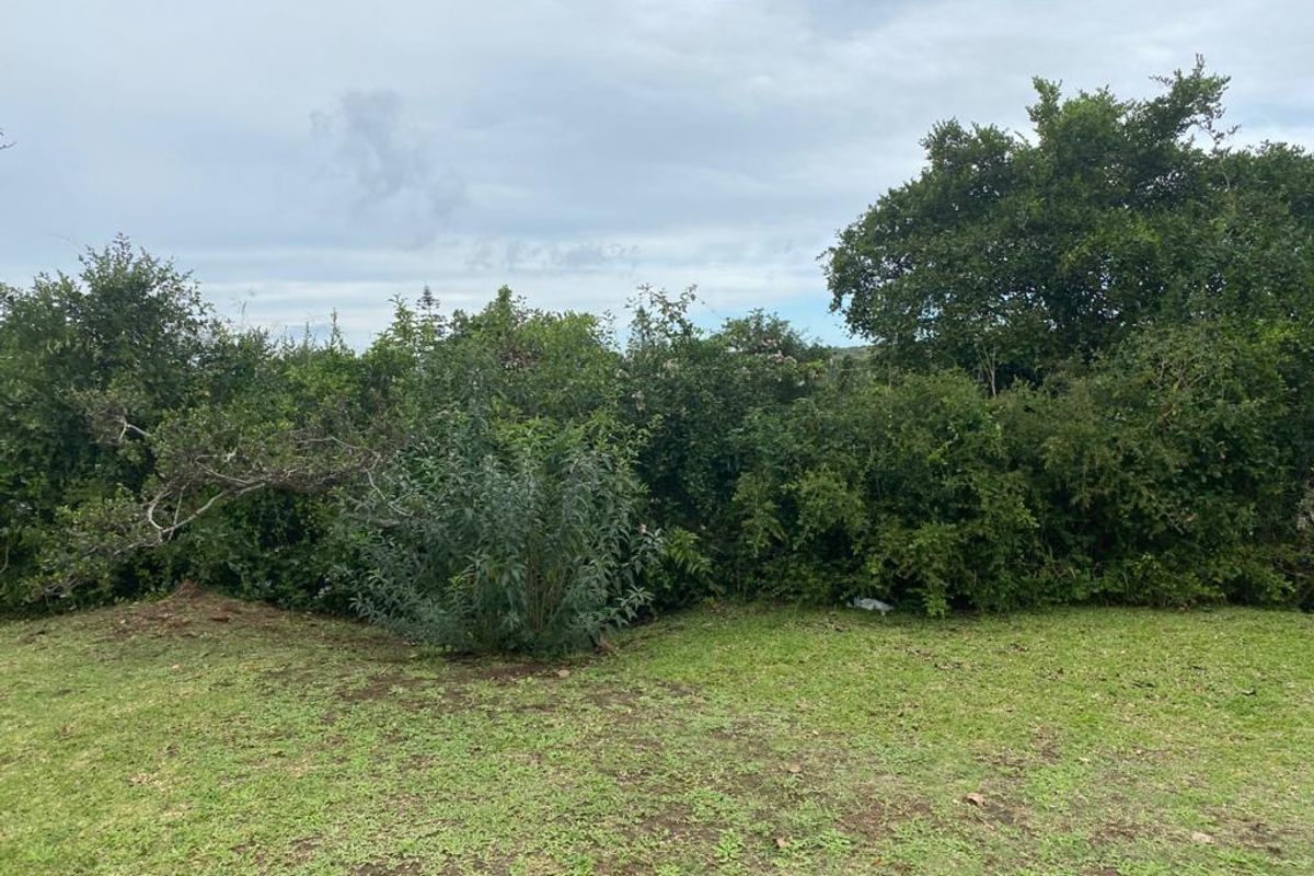 Lagoon View Plot - Photo 5