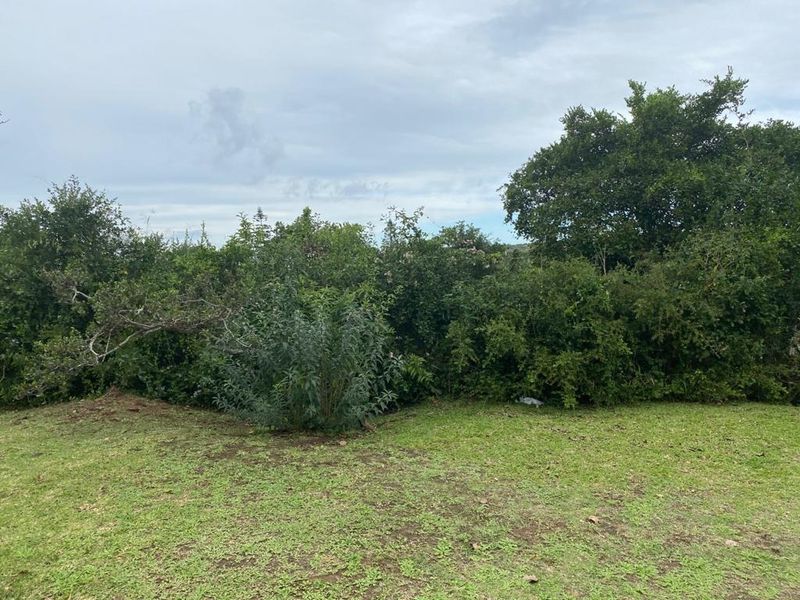 Lagoon View Plot - Photo 5