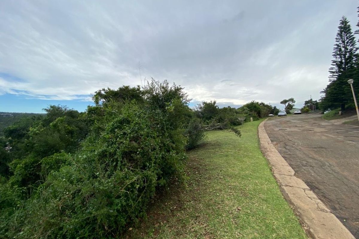 Lagoon View Plot - Photo 4