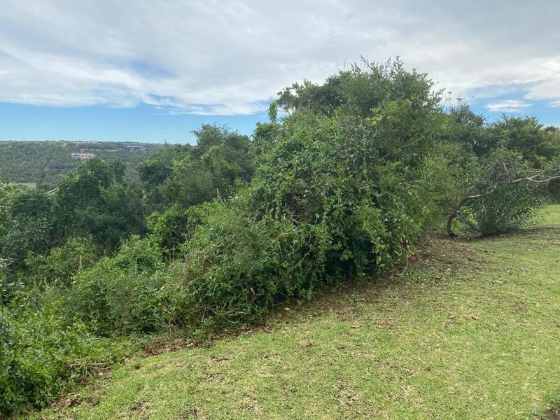 Lagoon View Plot - Photo 3