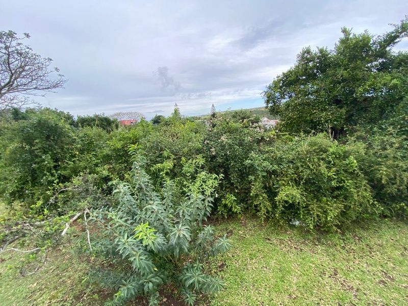 Lagoon View Plot - Photo 8