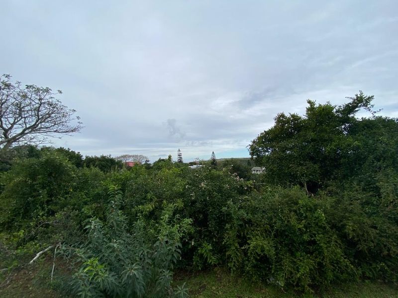 Lagoon View Plot - Photo 7