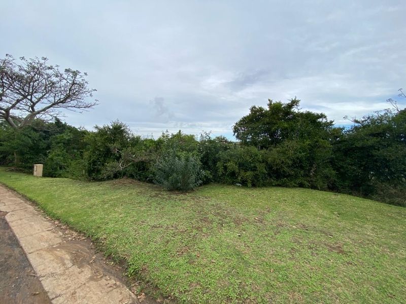 Lagoon View Plot - Photo 6