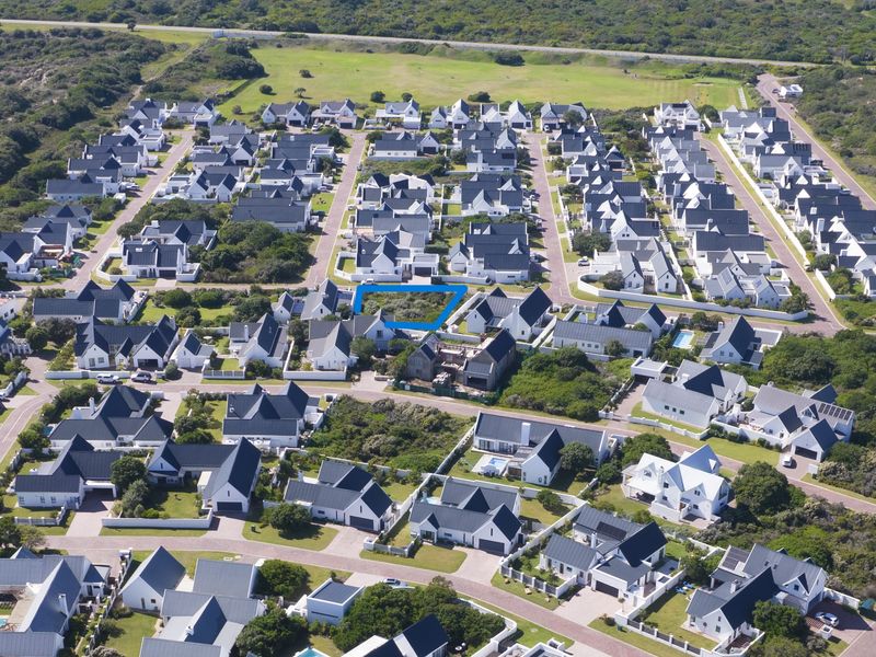 Seeing is Believing - Photo 2